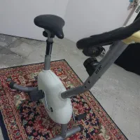 دوچرخه ثابت دنده ی