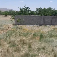 زمین ساردو