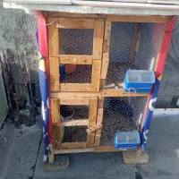 قفس جفت کن ۲طبقه