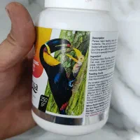 سرلاک پرنده