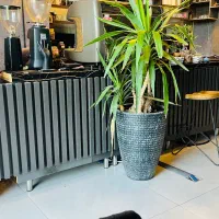 کابینت ام دی اف کانتر