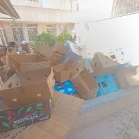 تعداد کارتن موز