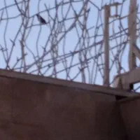 رهن و اجاره منزل ویلایی