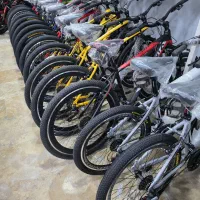 انواع دوچرخه در سایزبندی و رنگبندی با یک فقره چک