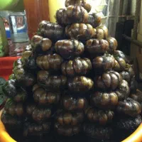 سیر ترشی ده ساله