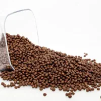 غذای خشک گربه با پروتئین بالا آمریکایی