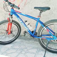 دوچرخه اورلرد