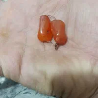 مهره|کلکسیون اشیاء عتیقه|دهدشت, |دیوار
