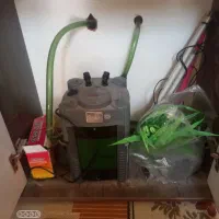 اکواریوم بالوازم