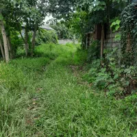 زمین ویلائی