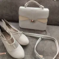 کیف و کفش ست کرم جفتش 300