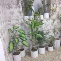 گل خانه