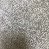 فروش موکت تمیز در حد نو