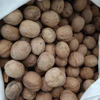 گردو درجه 1