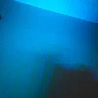 وال واشر .گلنور .پرورش گل گیاه .نور پردازی