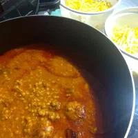 غذای صد درصد خانگی و تازه وغیرمنجمد