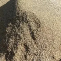 کاه نخود قرمز