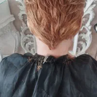 جشنواره کوتاهی