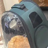 کیف پت