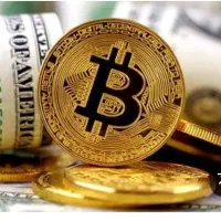 استخدام متخصص بیت کویین سپرده صندوق طلا نقره بورس