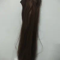 کلاه گیس