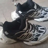 کتونی دیلاکس ۴۱