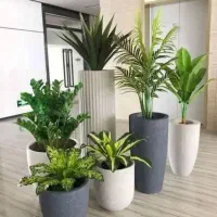 خدمات باغبانی هرسکاری گل کاری و تعویض خاک گلدون