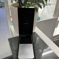 Z filip 6 / 256 / silver