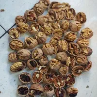 شیره/توت/انجیر/گلاب اعلا/گردو