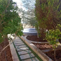 باغبانی خاکبرداری هرص سمپاشی وکود دهی انواع درخت