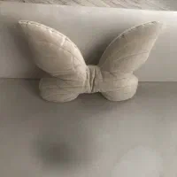 یک جفت کوسن پروانه ای