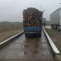 خرید انواع چوب