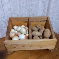 جای سیب و پیاز