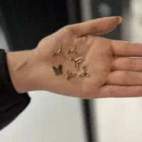 آنلاین شاپ طلا ZG