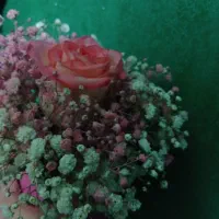 باکس گل مخصوص خاص پسندا
