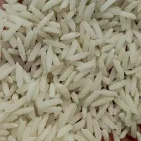 برنج شیرودی
