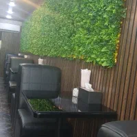 ظرفشور  پیک موتوری