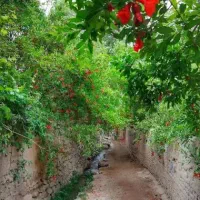 باغ-تفت-400-متر