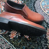 کفش مجلسی