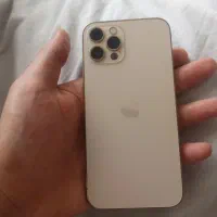12 پرو گلد
