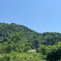 زمین-روستایی-کاملا-مسکونی-کوه-بنه