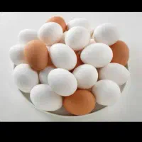 کالا برگ برای تخم مرغ تسویه انی