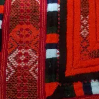 دوچگر بدن هستم