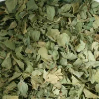 اهدای رایگان برگ سدر خشک به صورت رایگان
