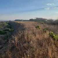 زمین حدودا 1000 متری