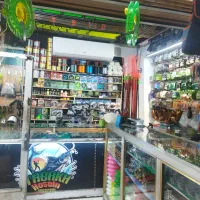 تور پرتابی به صورت عمده و تک