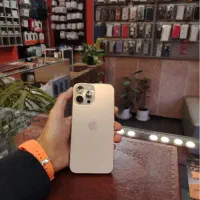 13Pro