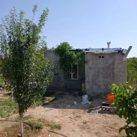 باغ تفریحی