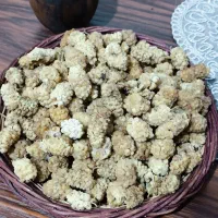 فروش توت خشک محلی درجه یک کوهستان