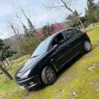 206شاسیا سالم پلم
